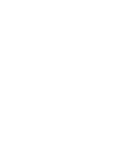 작업치료사