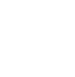 심리치료사