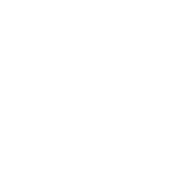 사회복지사